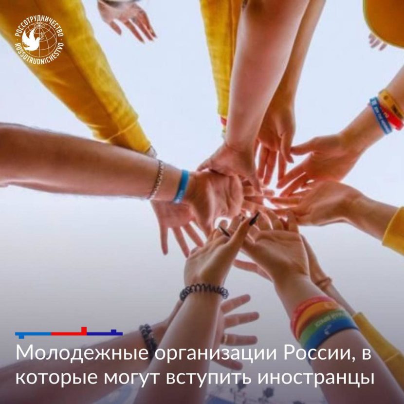 Молодежные организации России, в которые могут вступить молодые соотечественники из Канады