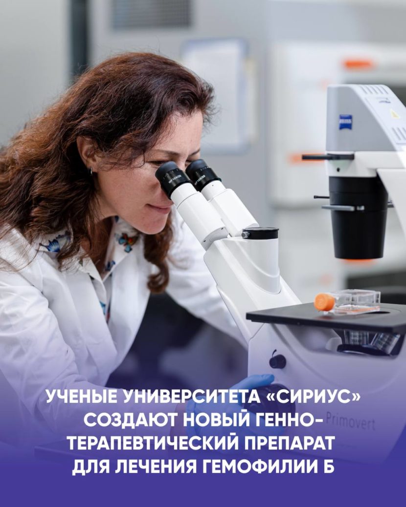 Учёные из Сириуса разрабатывают новое лекарство от гемофилии